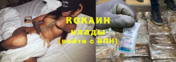 твердый Майский