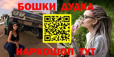 хмурый Бийск