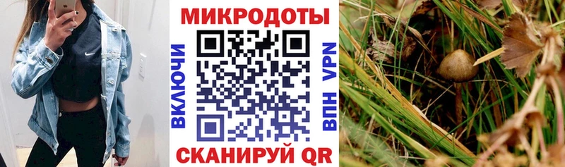 ссылка на мегу ссылка Ессентуки Псилоцибиновые грибы MAGIC MUSHROOMS