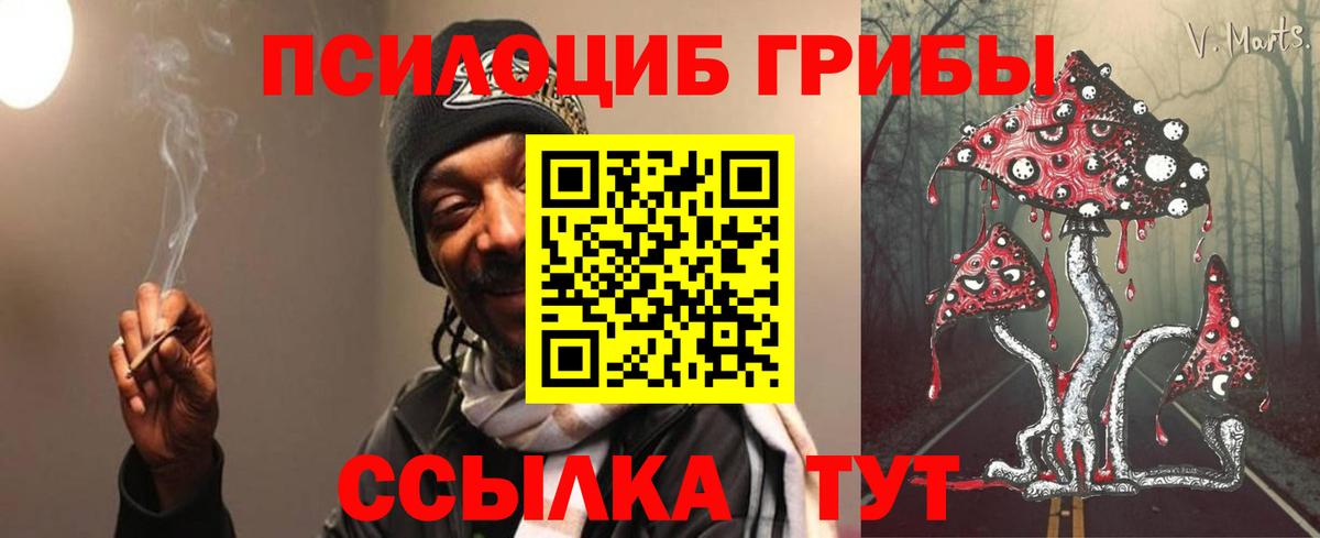 Псилоцибиновые грибы Psilocybine cubensis  Вход с VPN  Ессентуки  Псилоцибиновые грибы прущие грибы 